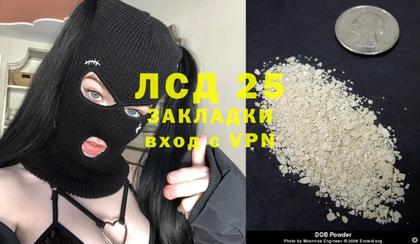 индика Снежногорск