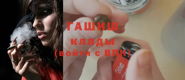 хмурый Алексин