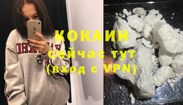 хмурый Алексин
