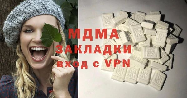 хмурый Алексин