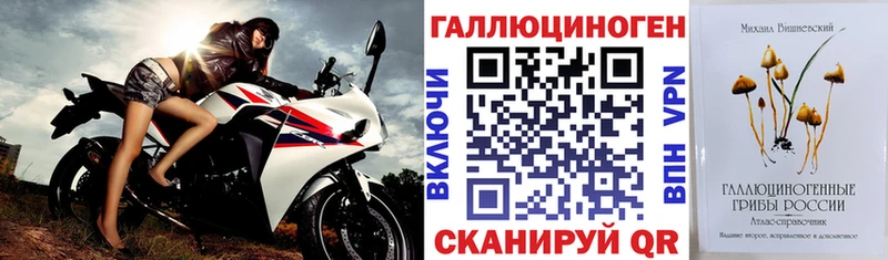 Псилоцибиновые грибы Psilocybe  как найти   Нефтекумск 